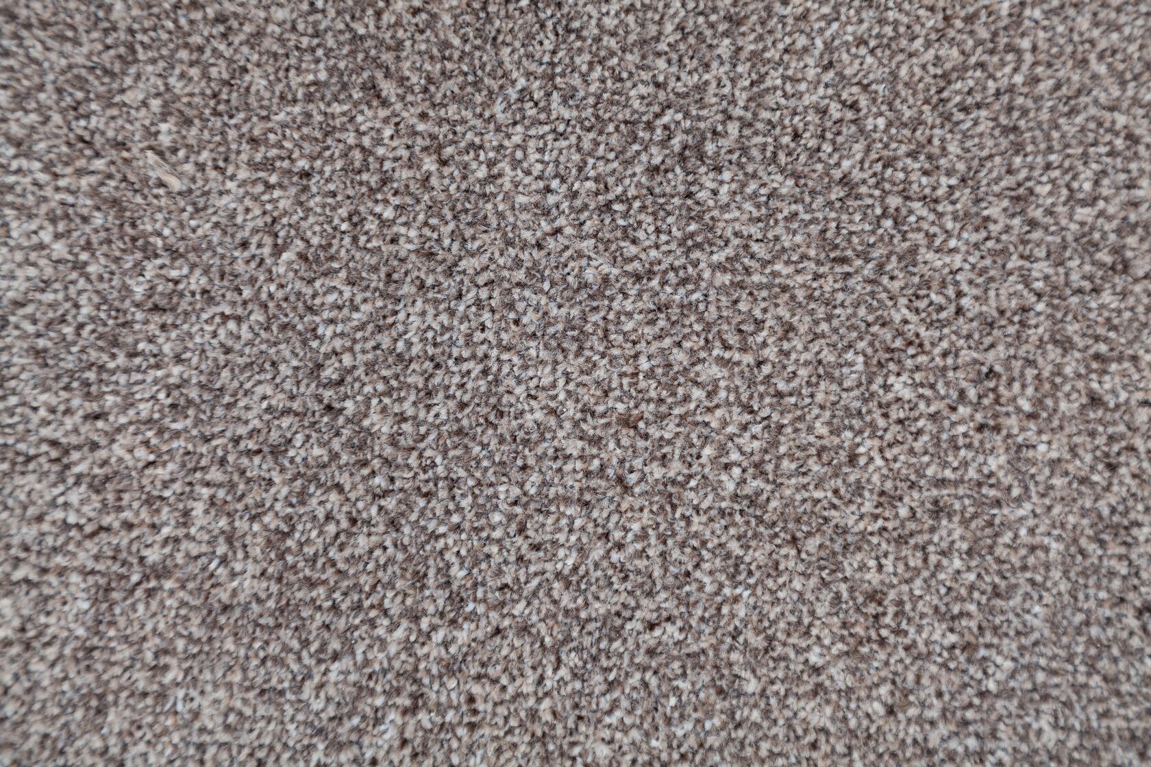 Ковровое покрытие "Bonkeel" Zodiak 39 (ширина 3м) — купить в Волгограде