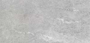 Керамогранит Конжак (Kondjak) 300*600 матовый элегант G261MR — купить в Волгограде