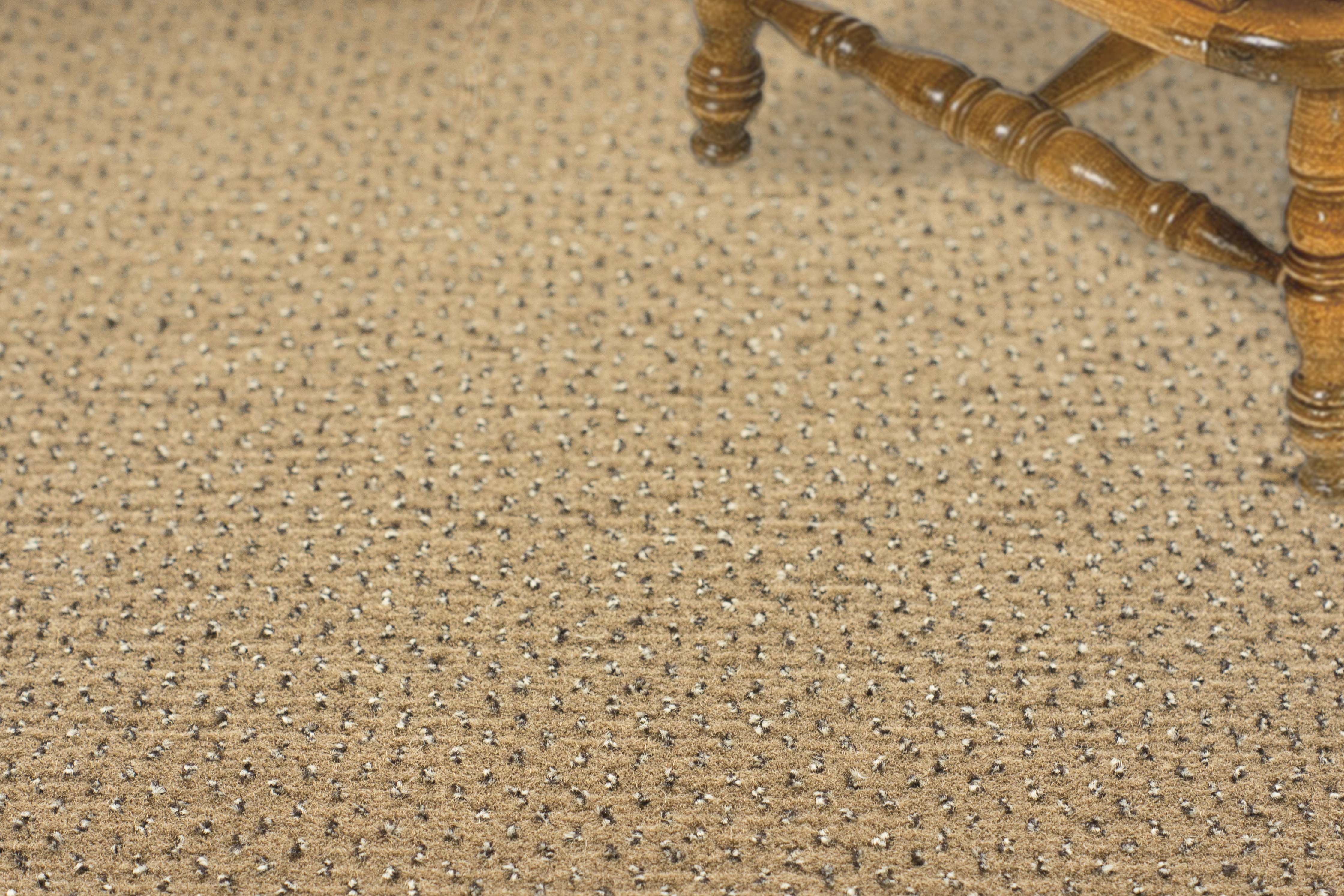 Ковролин "Зартекс" Eternity 142 бежевый (4м) — купить в Волгограде